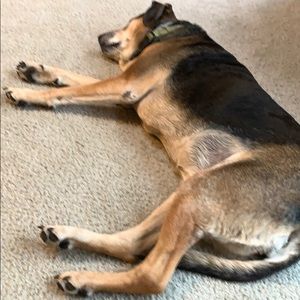 Meet your Posher, Andy